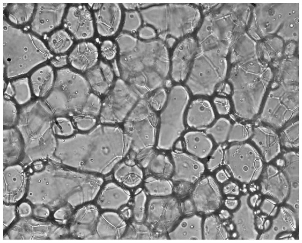 High-internal-phase Pickering emulsion, preparation method and application thereof, and mayonnaise containing high-internal-phase Pickering emulsion