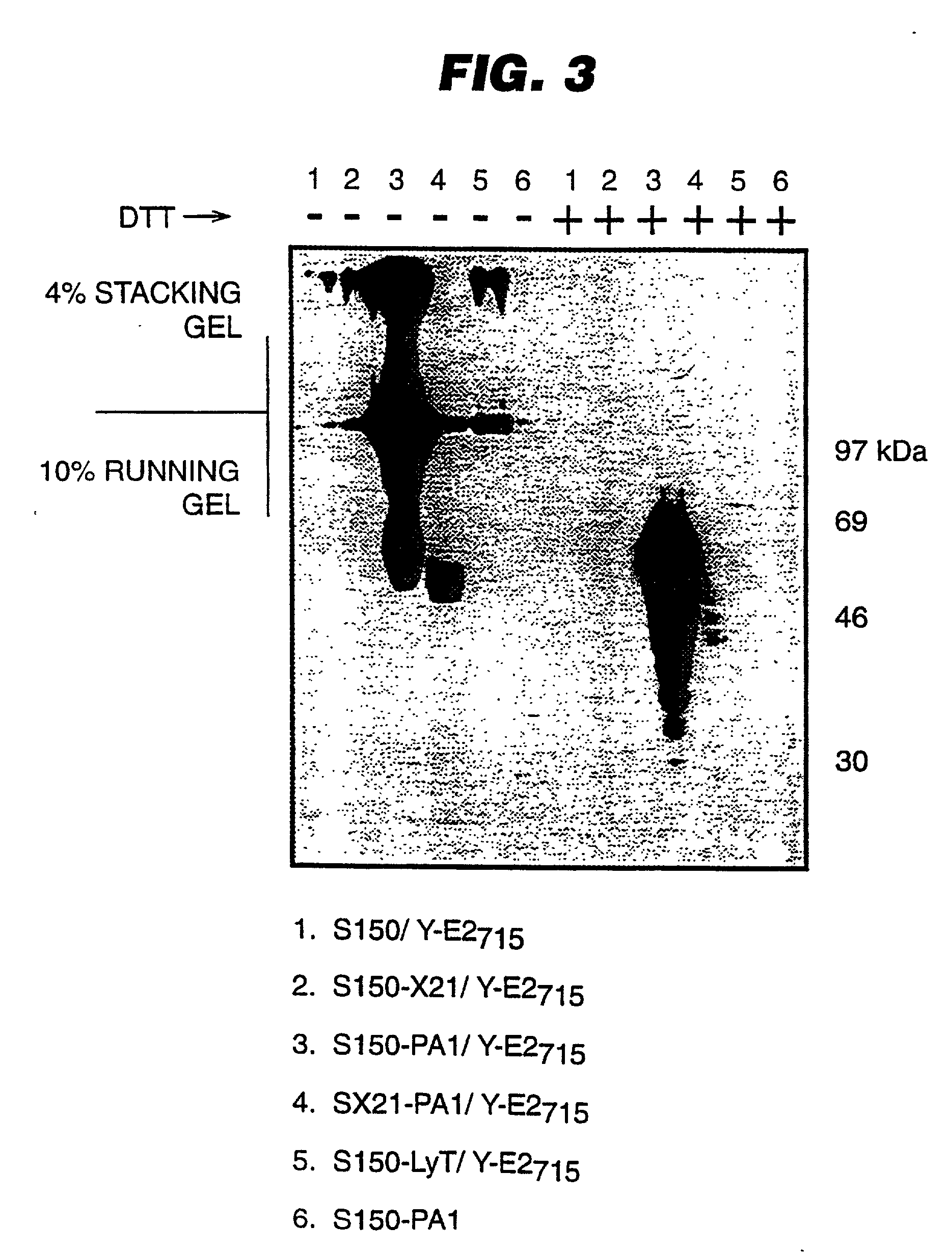 Expression of heterologous proteins