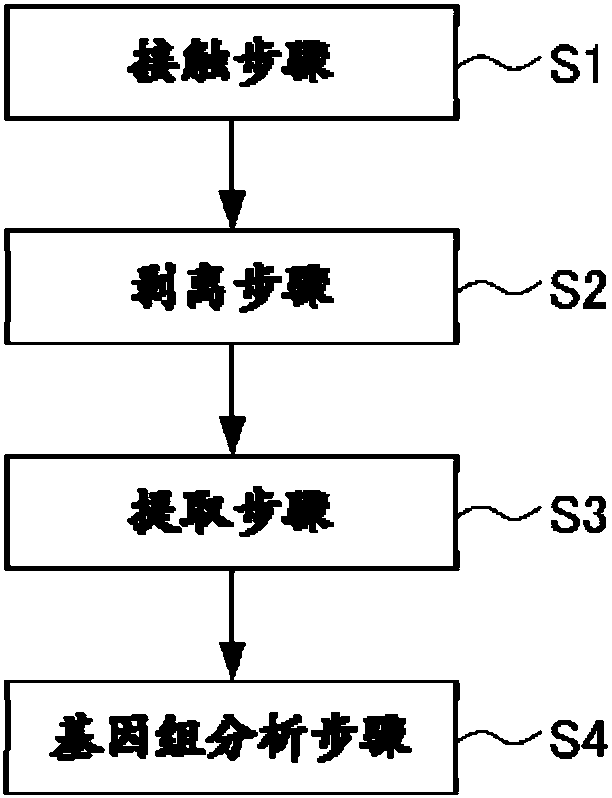 Method for evaluating physical conditions, method for presenting information, and method for screening for substance capable of improving or preventing physical conditions