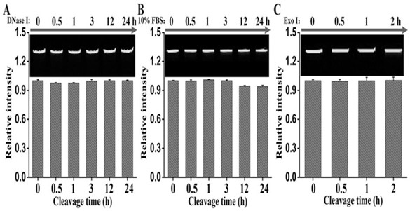 Preparation method and application of a [2]-reticular catenane dna monolayer array