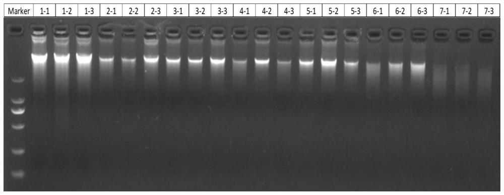 Metabolism and metagenomics combined Cantonese soy sauce fermentation process change research method