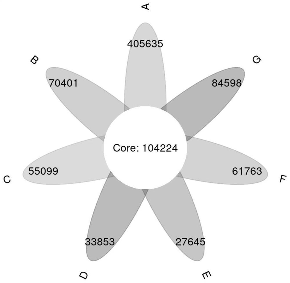 Metabolism and metagenomics combined Cantonese soy sauce fermentation process change research method