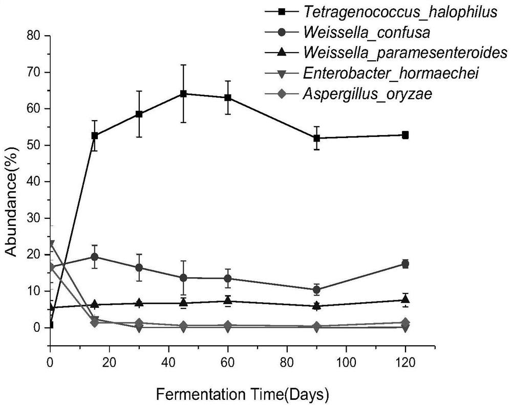 Metabolism and metagenomics combined Cantonese soy sauce fermentation process change research method