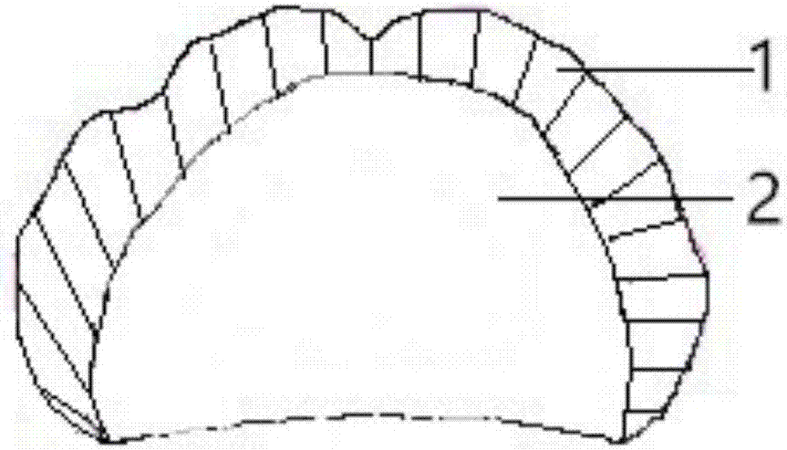 Complete denture and preparation method thereof