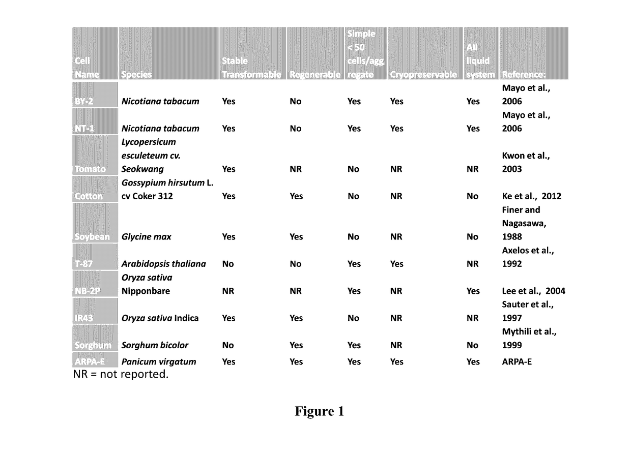 Methods of plant transformation using transformable cell suspension culture and uses thereof