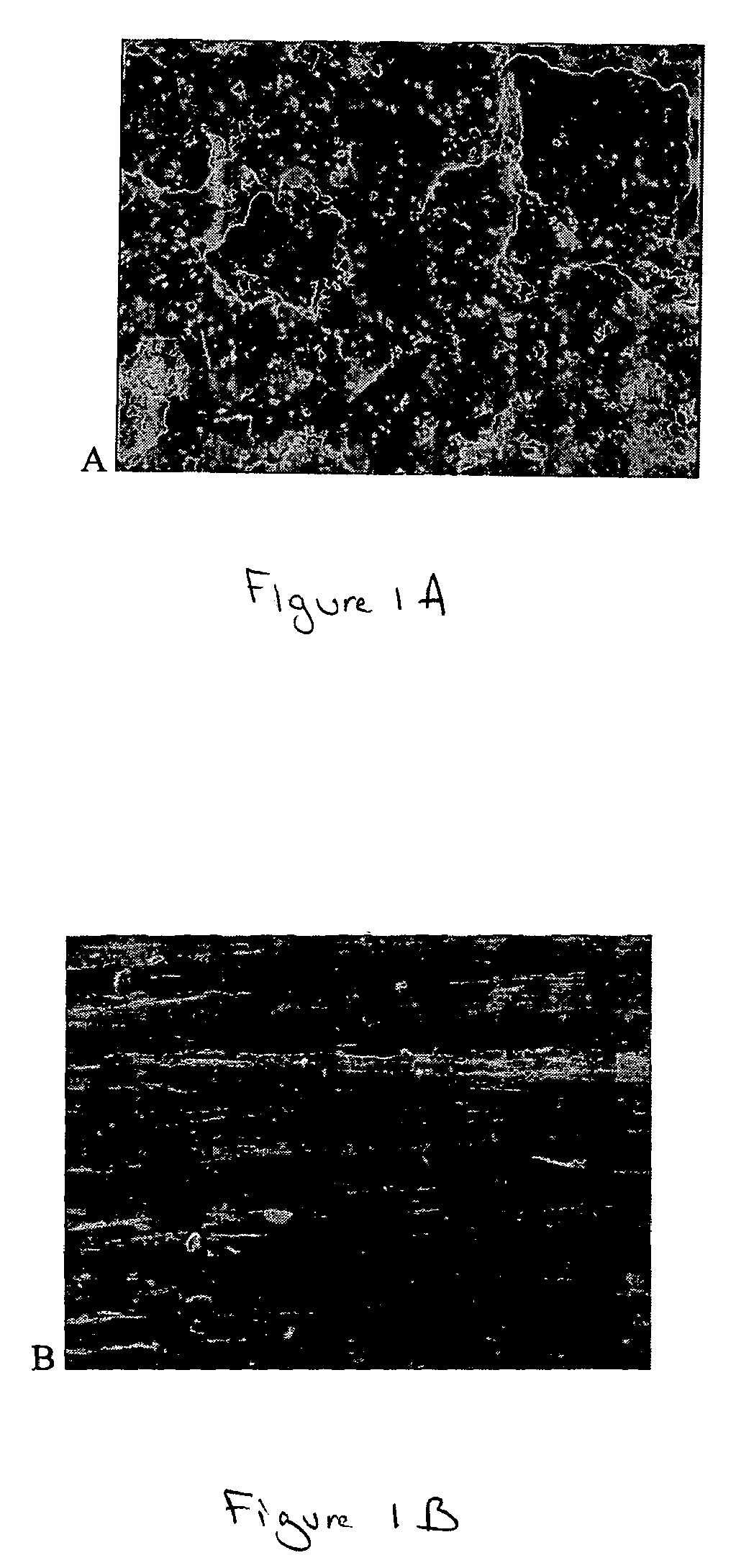 Method to enhance drug release from a drug-releasing material