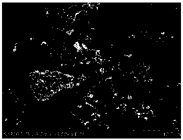 Preparation method and application method of mushroom bran immobilized microbial agent