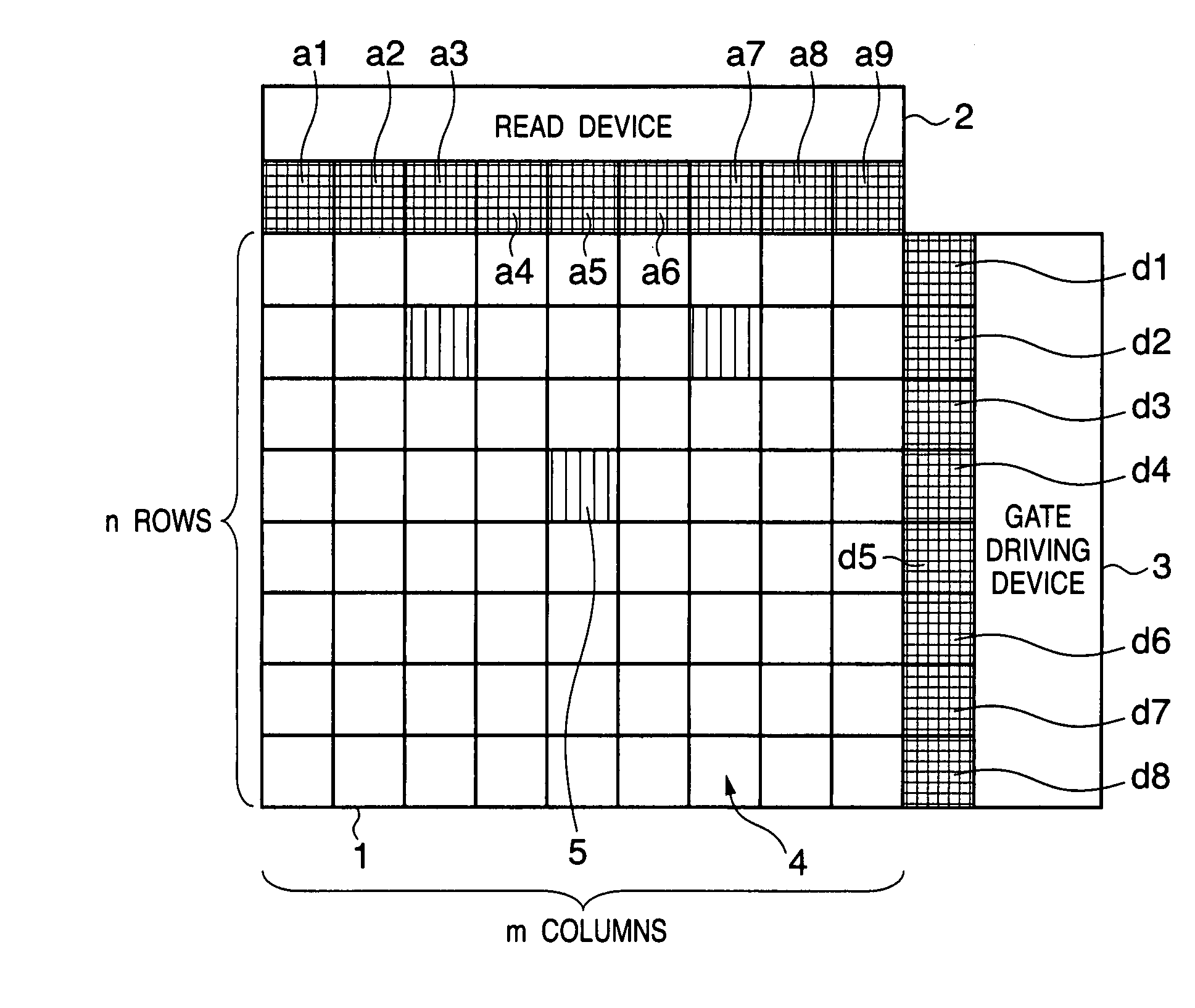 Radiographic apparatus and radiographic system