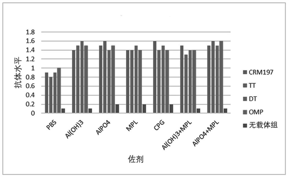 Polypeptide for preventing novel coronavirus pneumonia COVID-19, immunogenic conjugate and application thereof