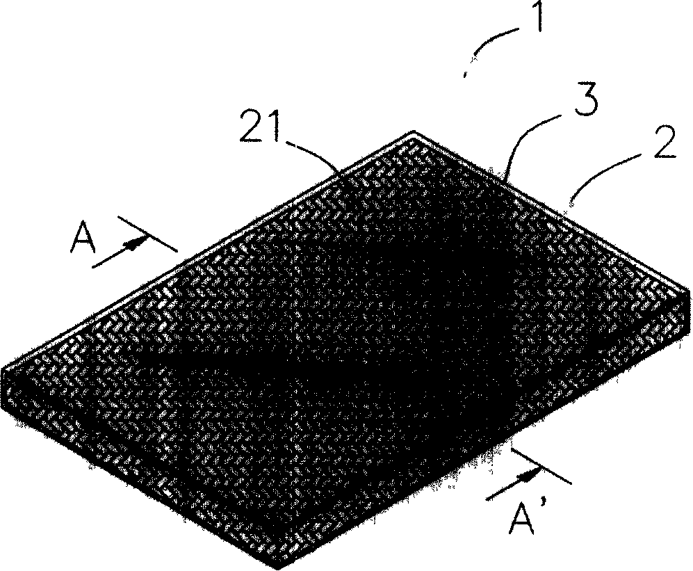 Manufacturing method of colored panel and products produced thereby