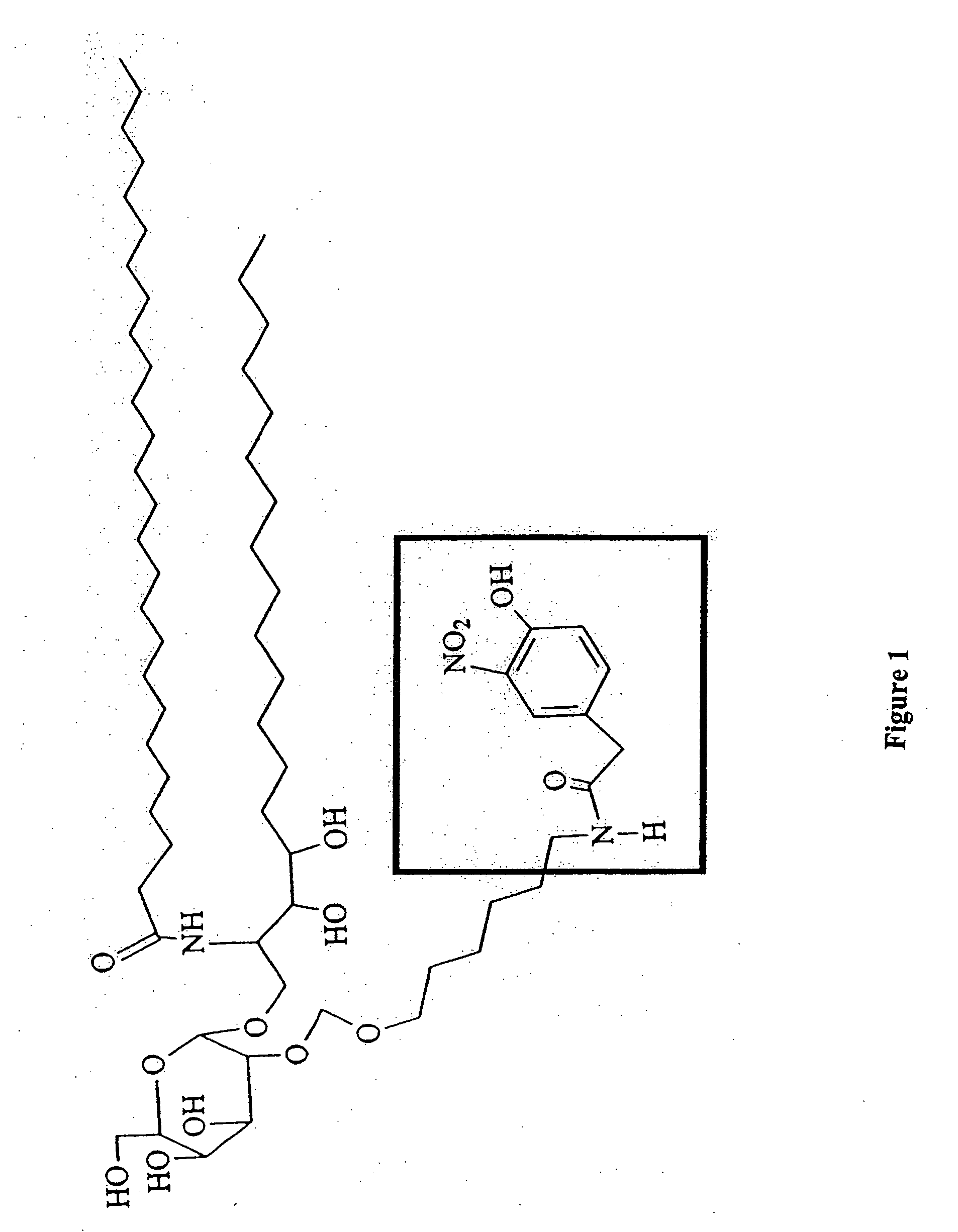 Conjugate vaccines for non-proteinaceous antigens