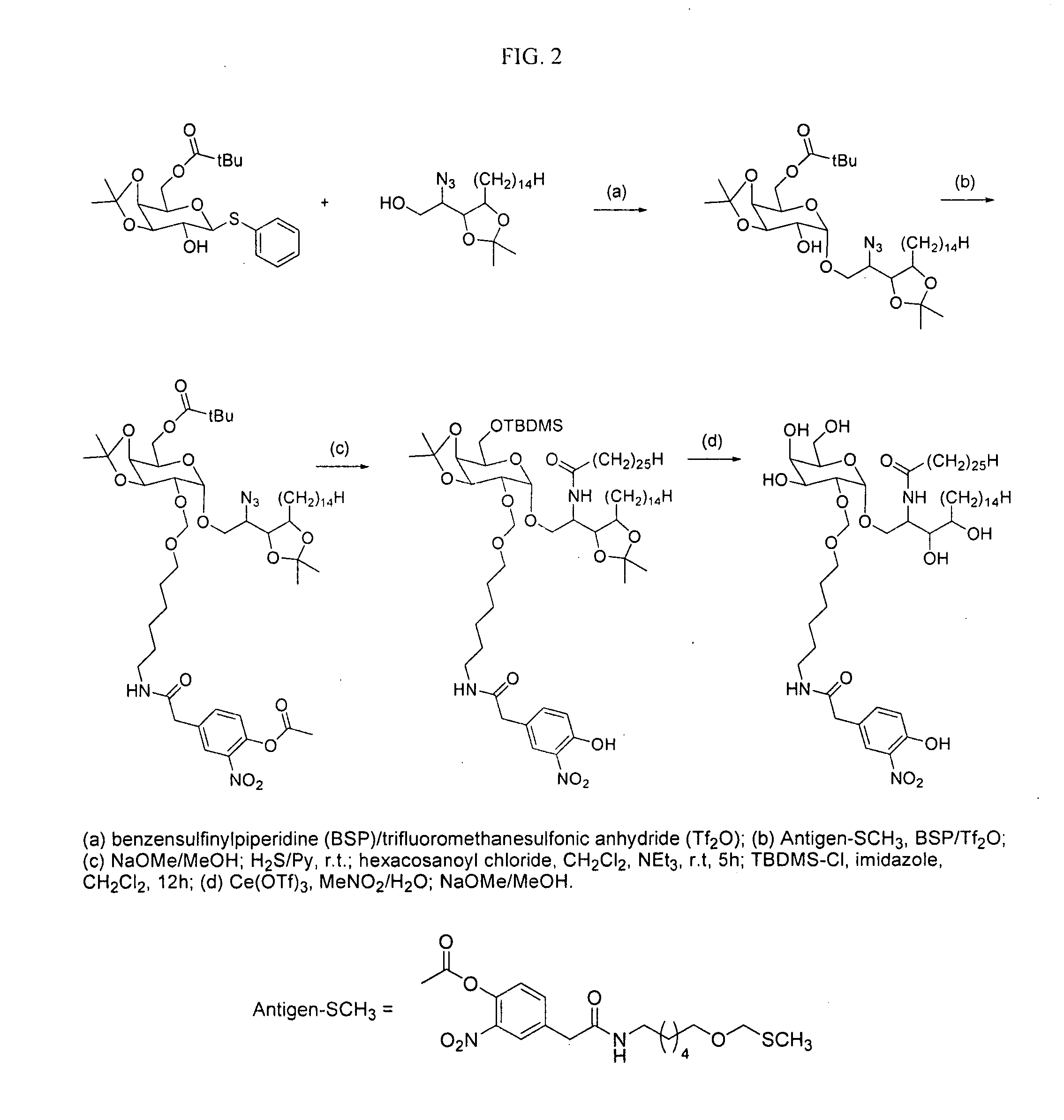 Conjugate vaccines for non-proteinaceous antigens