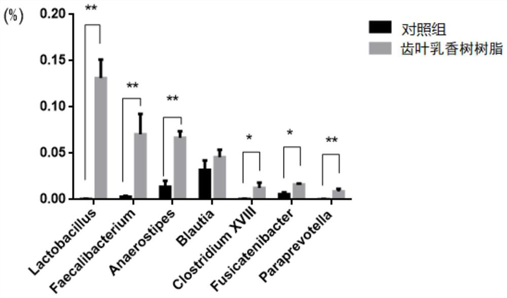 Application of boswellia serrata resin in preparation of product for promoting proliferation of intestinal beneficial bacteria