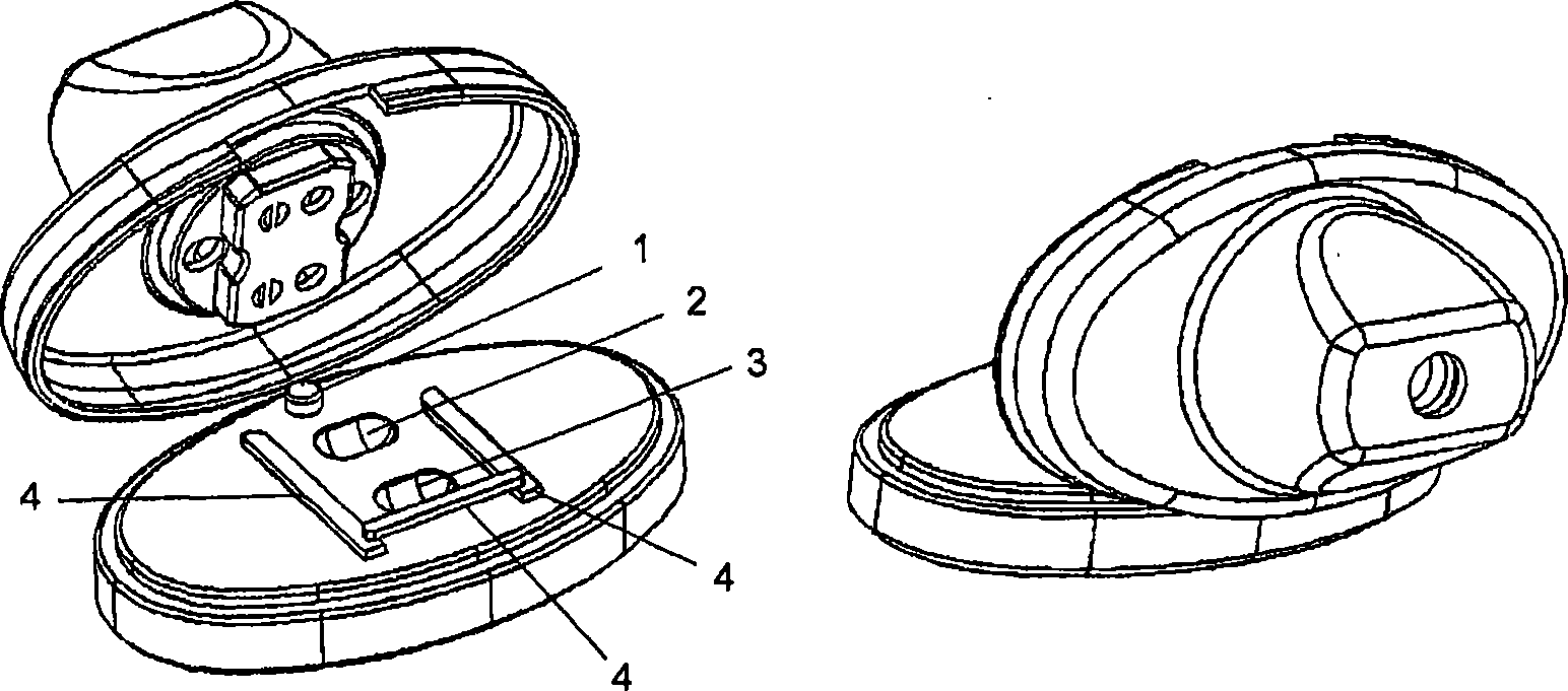 Dry powder inhalation device for the simultaneous administration of more than one medicament