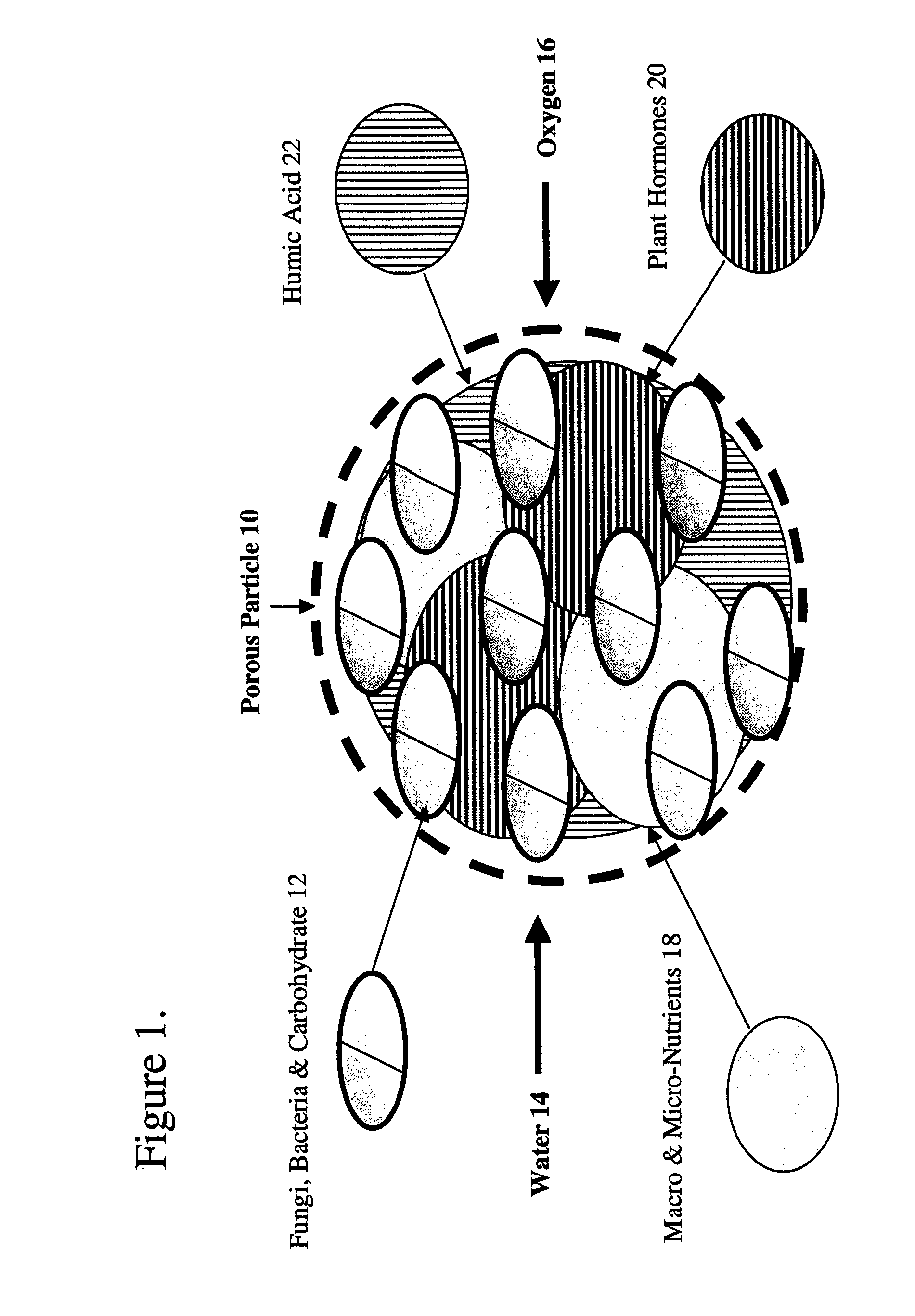 Biological soil nutrient system