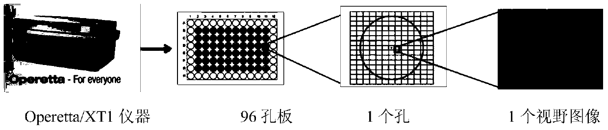 Culture medium for induced pluripotent stem cells and application of culture medium