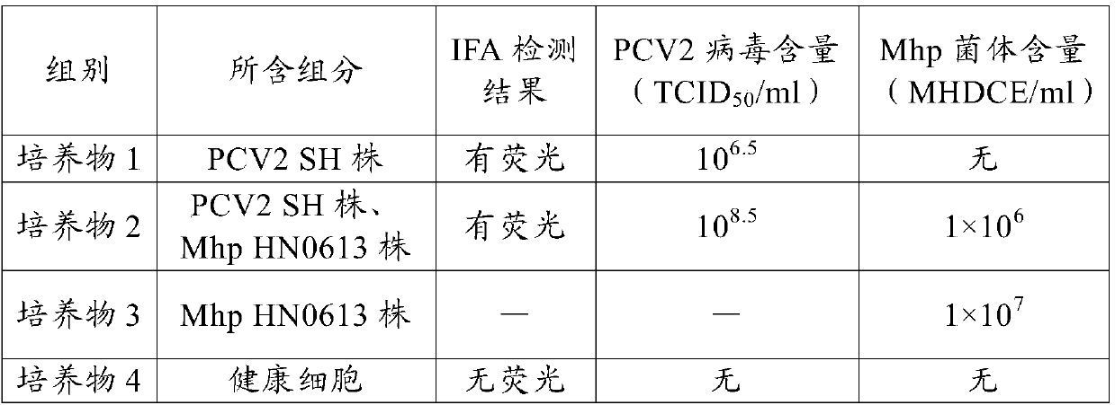 A kind of culture method of porcine circovirus and its application