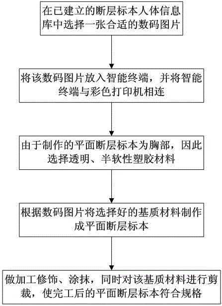 Method for manufacturing imitative sectional imaging specimen