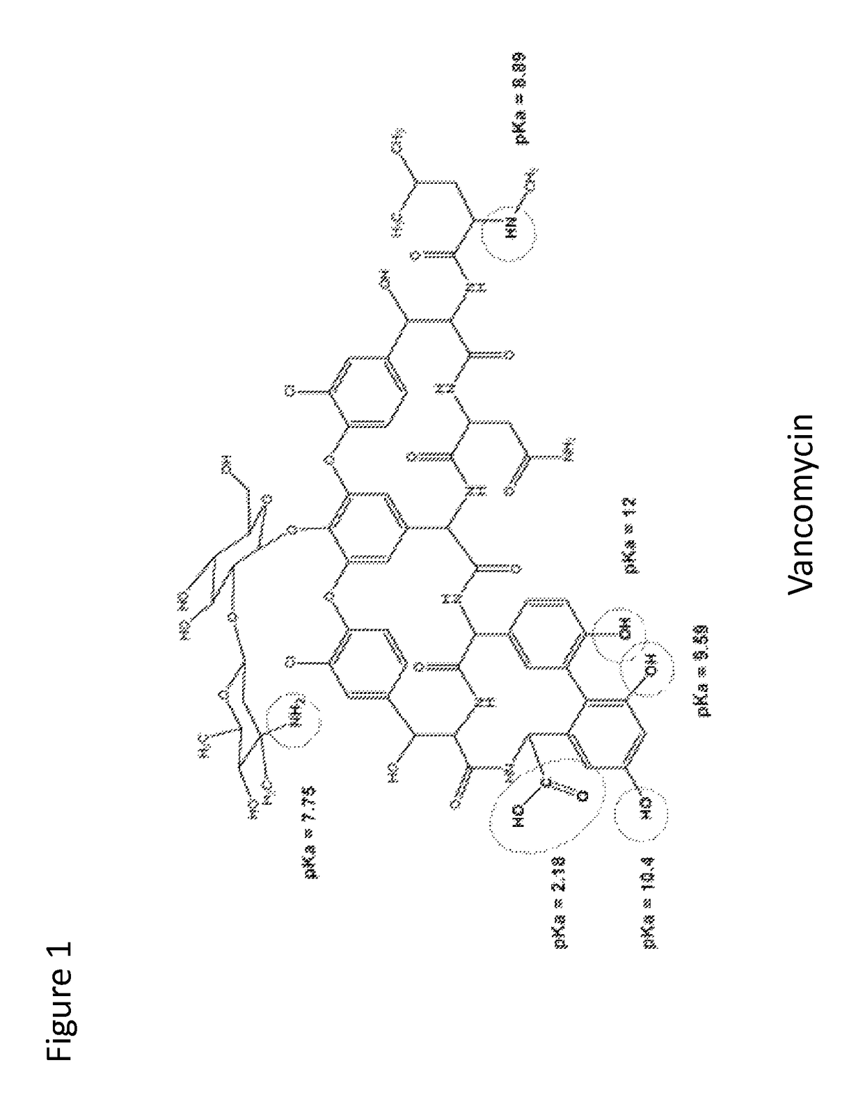 Stabilized vancomycin formulations