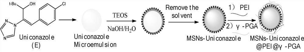 Preparation method of mesoporous silica nano double-layer microsphere controlled release agent