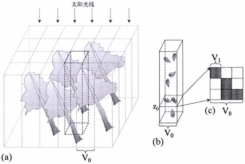 A model to describe the distribution of photosynthetically active radiation in forests using 3D point cloud data