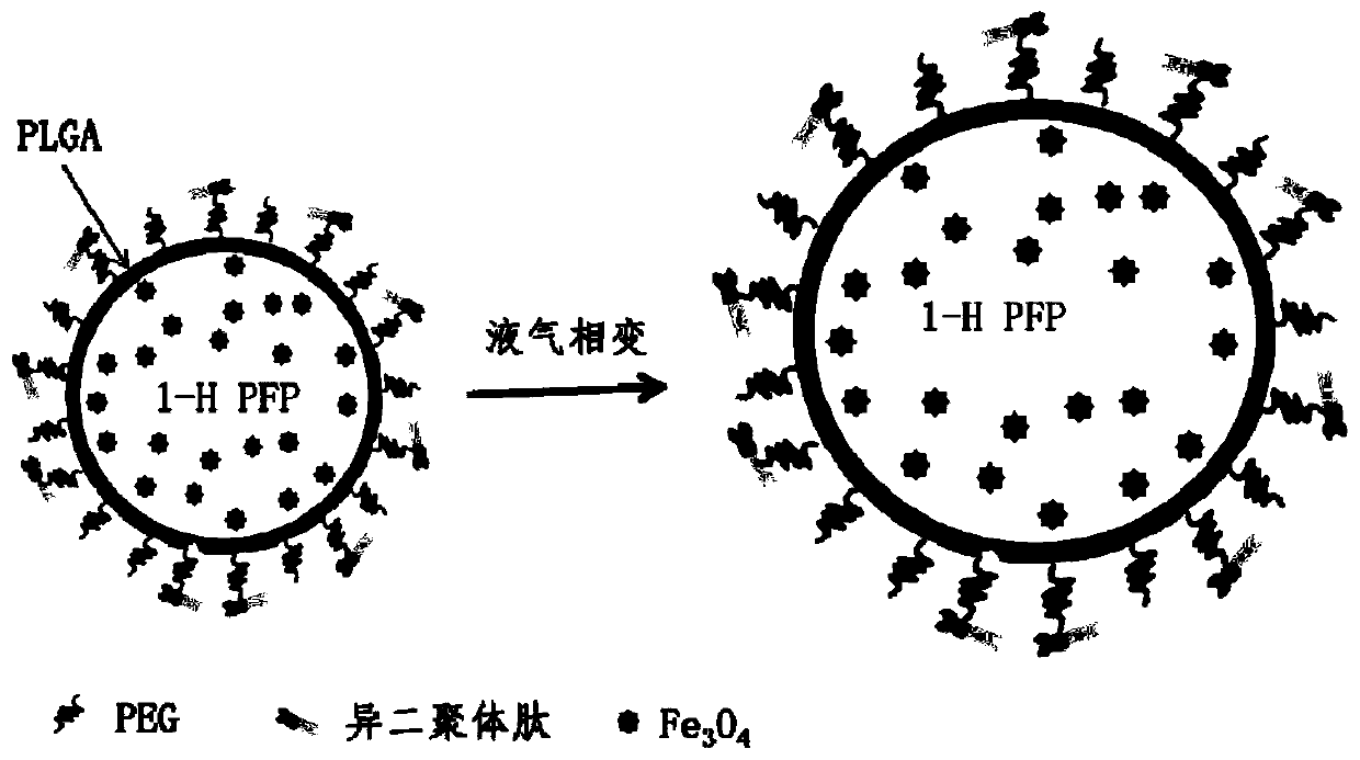 Bispecific PSMA/GRPr targeted bimodal imaging nano contrast agent as well as preparation method and application thereof