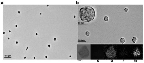 Bispecific PSMA/GRPr targeted bimodal imaging nano contrast agent as well as preparation method and application thereof