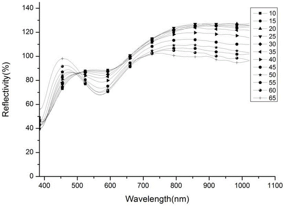 Fabric structure color preparation method