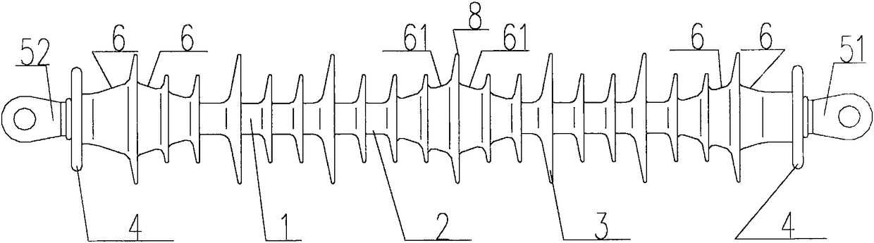 A kind of lightning shock resistant composite insulator