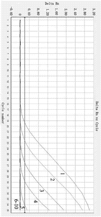 Method of detecting and identifying cernuella virgata da costa through fluorescent quantitation PCR