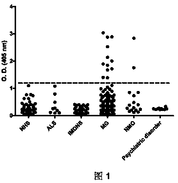 Diagnostic composition for neurotransmission disorder diseases by utilizing agrin