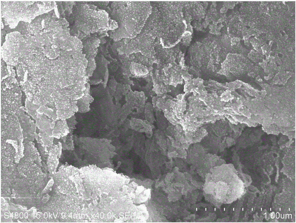 Oxygen-doped nitrogen carbide-precious metal composite catalyst, and preparation method and application thereof