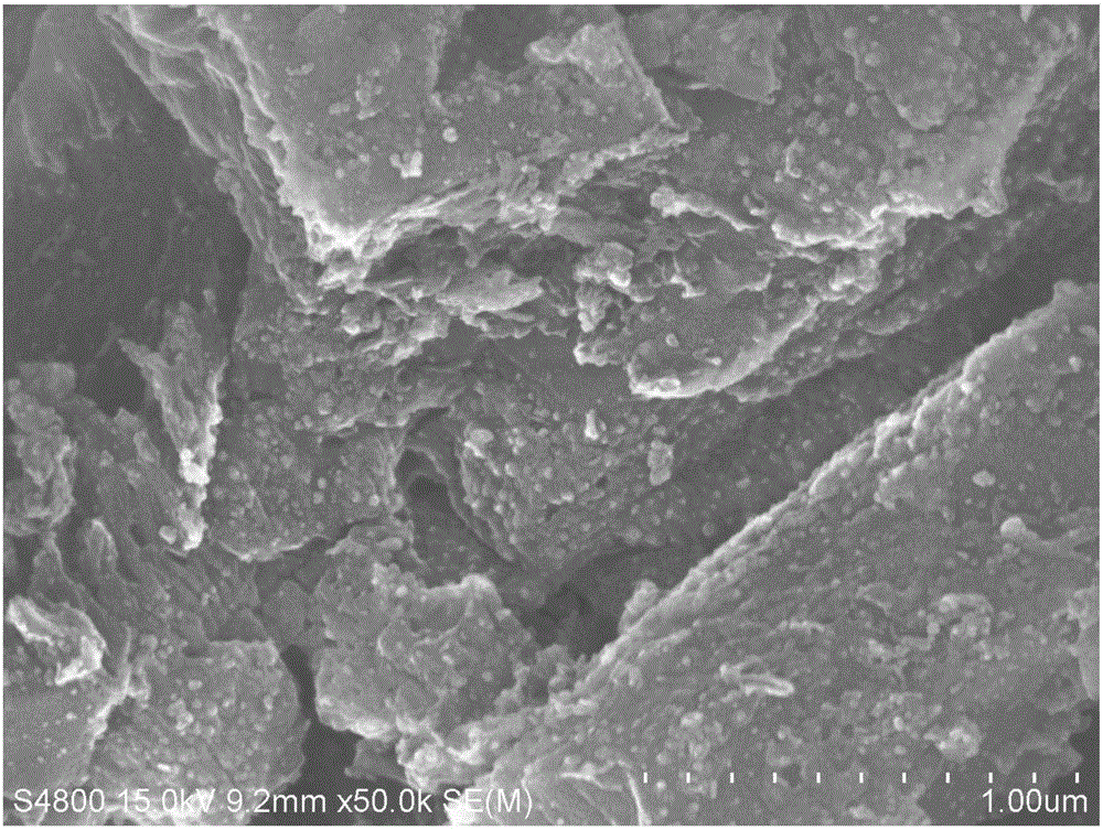 Oxygen-doped nitrogen carbide-precious metal composite catalyst, and preparation method and application thereof