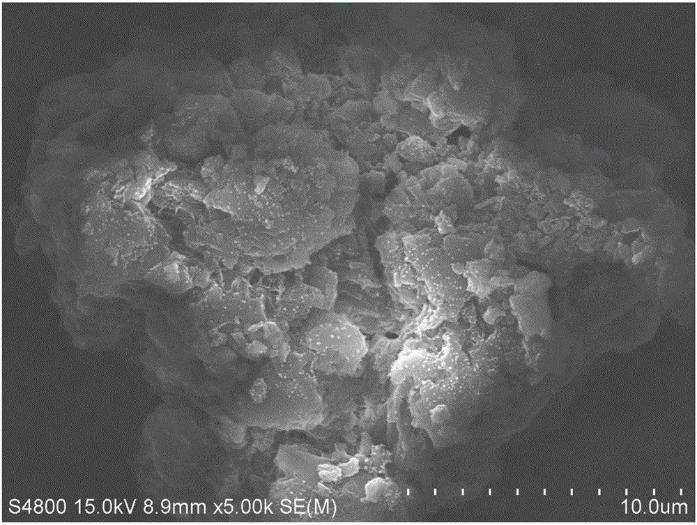 Oxygen-doped nitrogen carbide-precious metal composite catalyst, and preparation method and application thereof