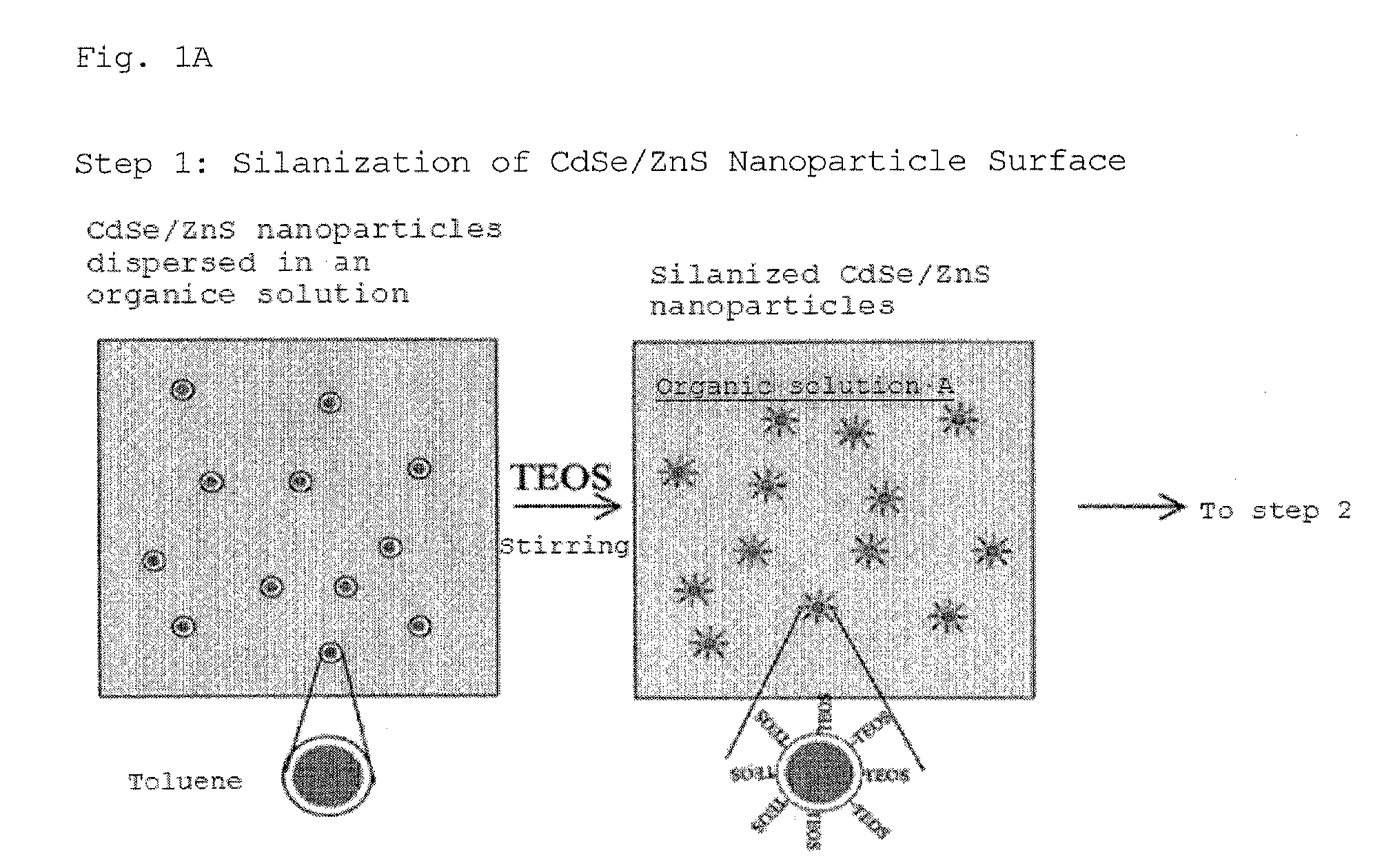 Fluorescent particle, with semiconductor nanoparticles dispersed therein, fabricated by the sol-gel process