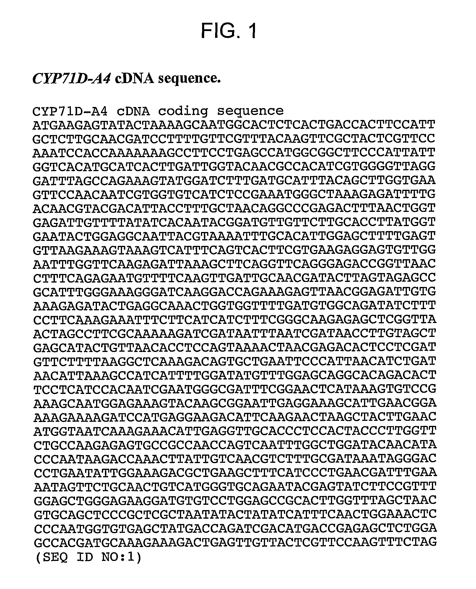 Polynucleotides encoding isoprenoid modifying enzymes and methods of use thereof