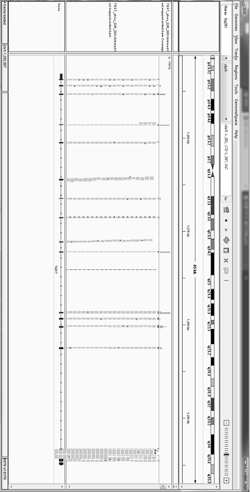 Multiple PCR (Polymerase Chain Reaction) primer composition, reagent and multiple PCR-breaking control system for TERT (Telomerase Reverse Transcriptase) gene whole exome next-generation sequencing