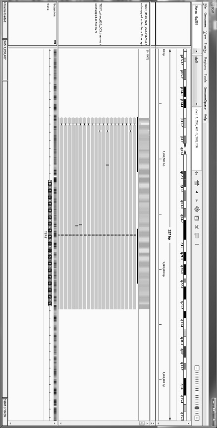 Multiple PCR (Polymerase Chain Reaction) primer composition, reagent and multiple PCR-breaking control system for TERT (Telomerase Reverse Transcriptase) gene whole exome next-generation sequencing