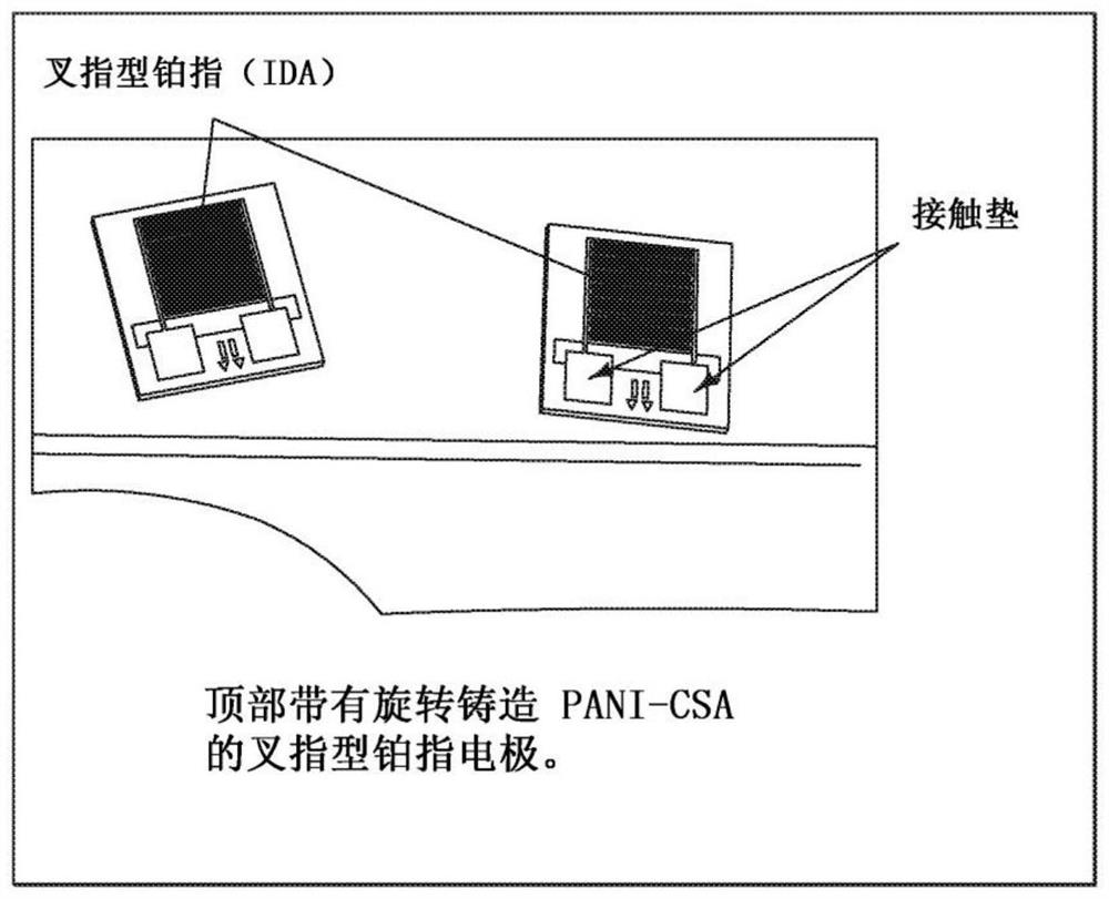 Respiration analyzer and urea respiration testing method