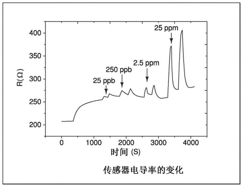 Respiration analyzer and urea respiration testing method