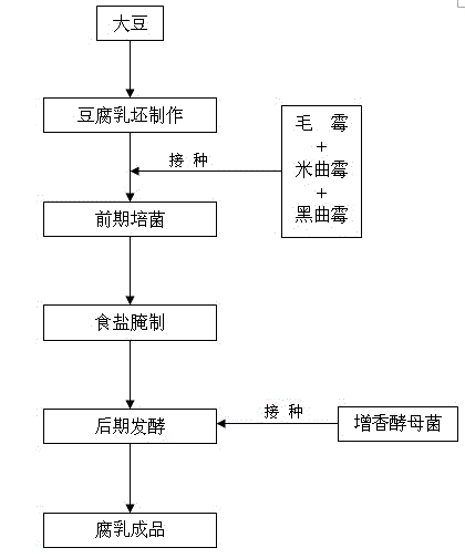 Method for producing fermented bean curd through multi-strain mixed fermentation