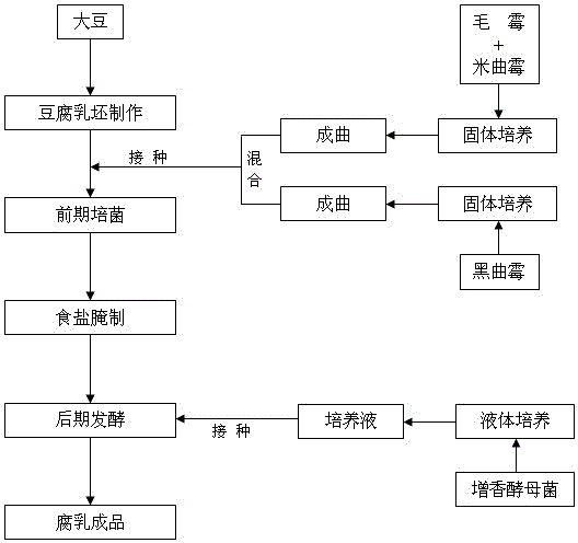 Method for producing fermented bean curd through multi-strain mixed fermentation