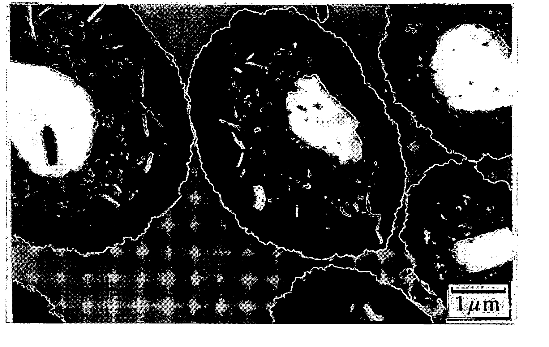 Toner, process for producing the same, two-component developing agent and method of image formation