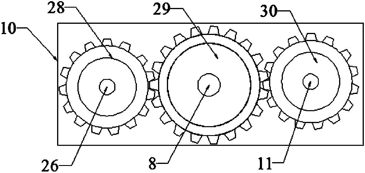 Cereal smashing device for feed