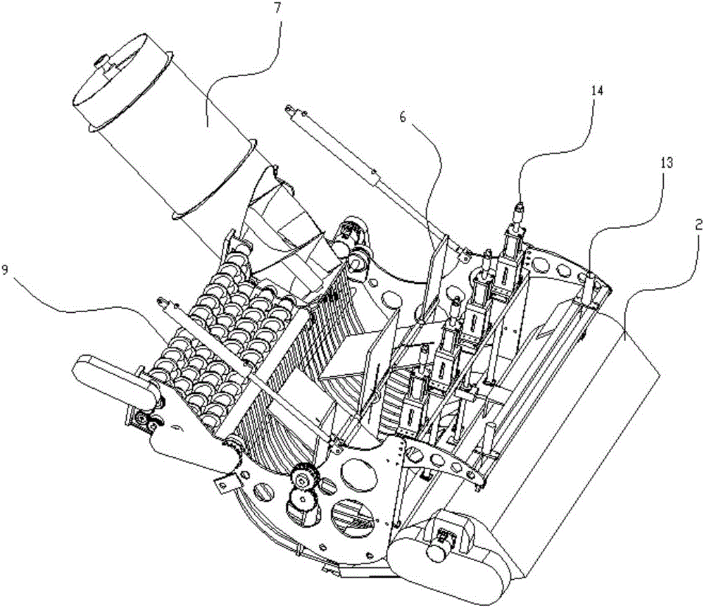 Harvester head structure and mustard tuber harvester comprising same