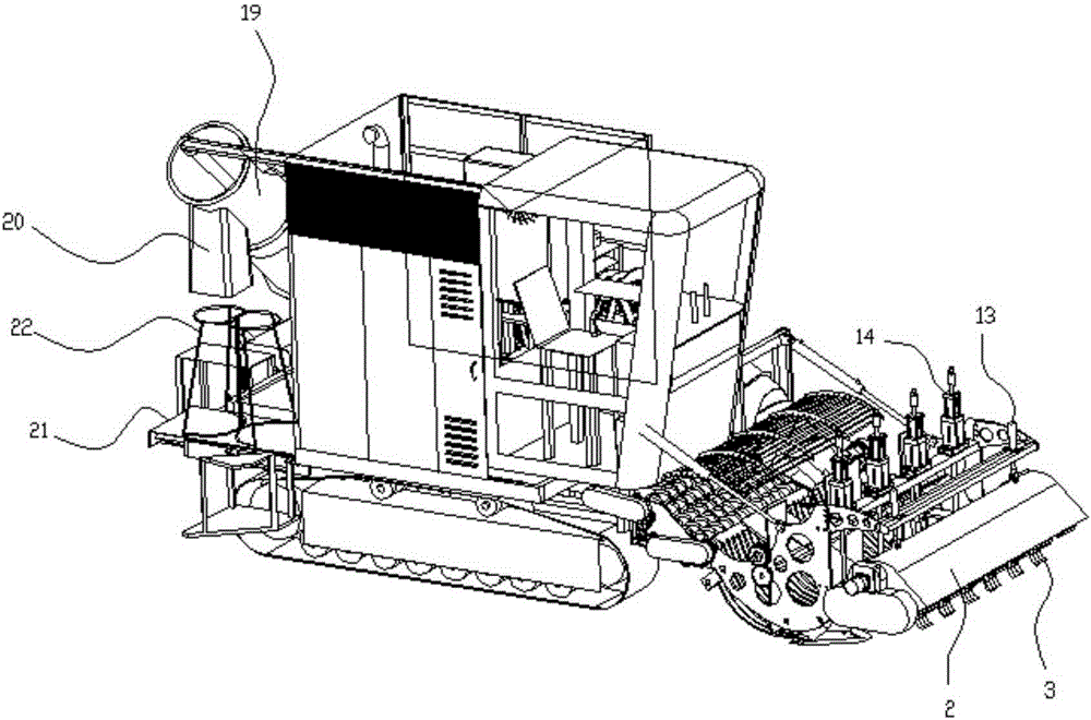 Harvester head structure and mustard tuber harvester comprising same