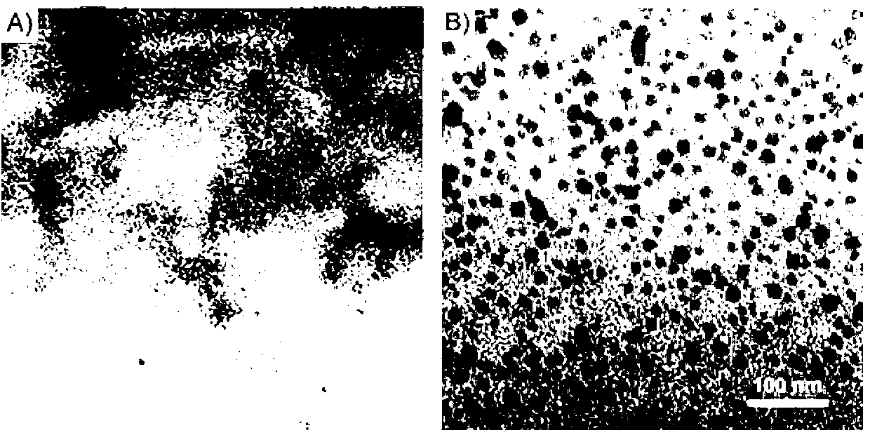 Method for preparing hydrogel by enzymatic free radical polymerization