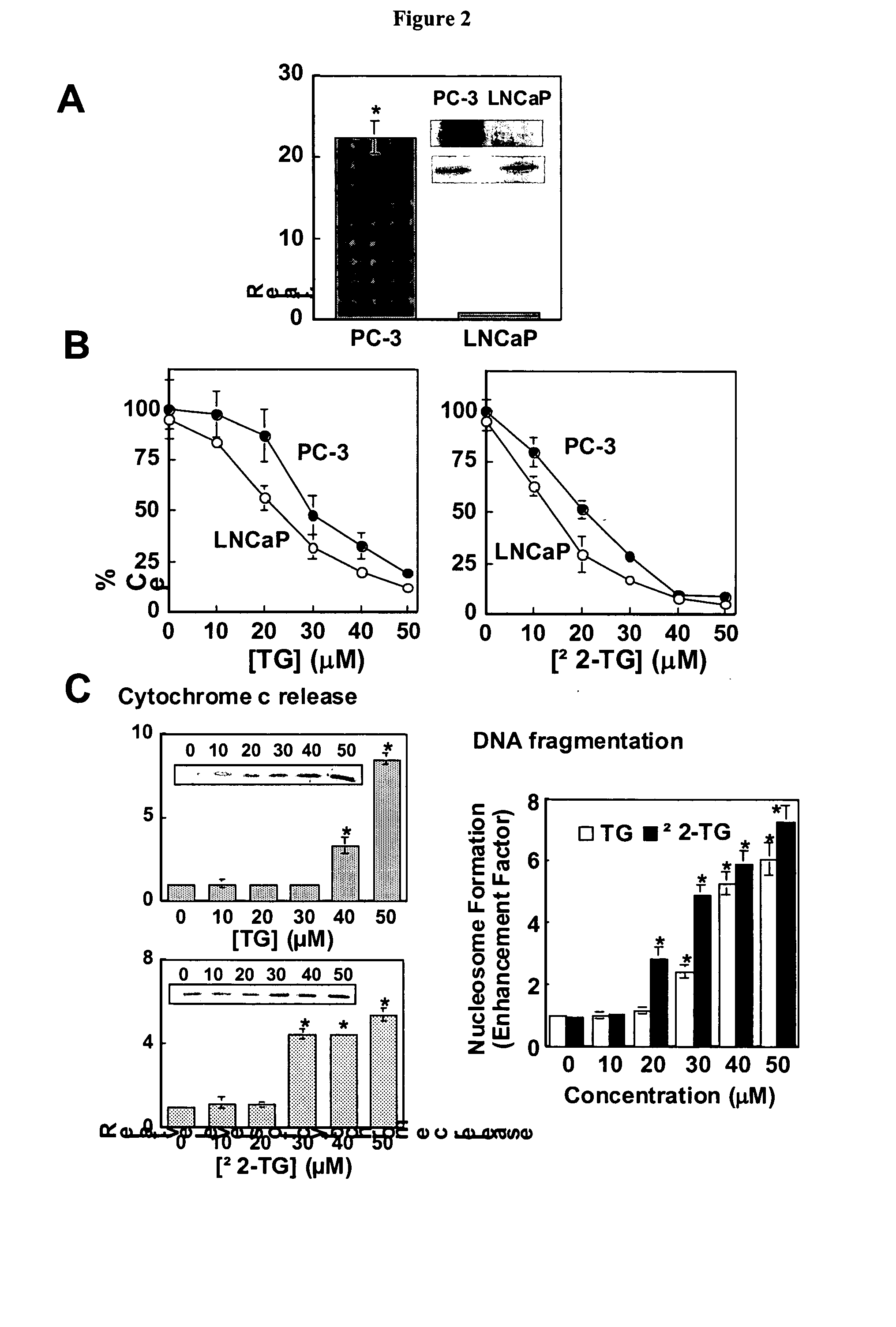 Small molecule Bcl-xL/Bcl-2 binding inhibitors