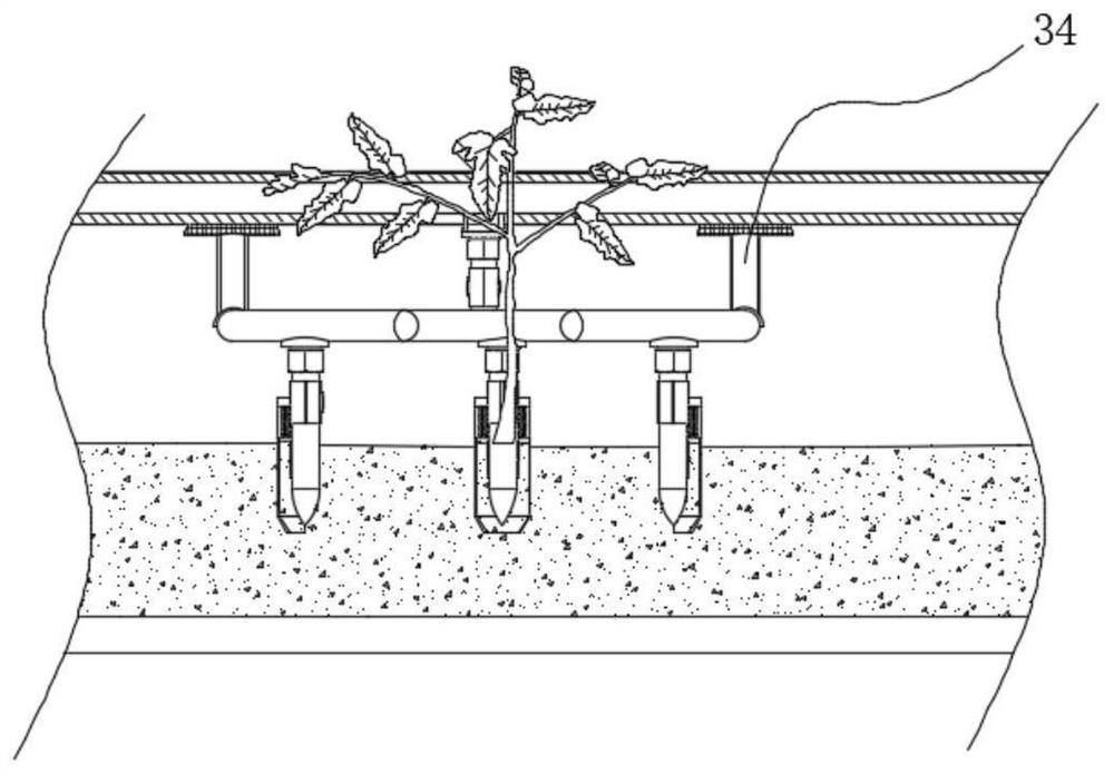 Water and fertilizer integrated precise hole application device for tomato yellow sand soilless culture