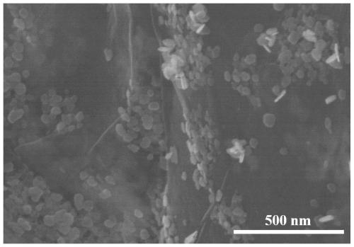 Bismuth-based self-supporting electrocatalyst, preparation method thereof and application of bismuth-based self-supporting electrocatalyst in nitrogen reduction ammonia production